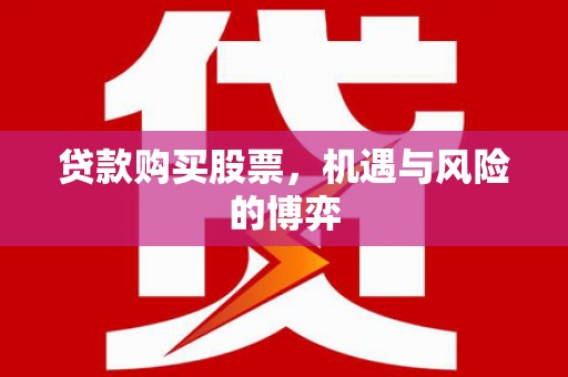 山阳贷款购买股票，机遇与风险的博弈