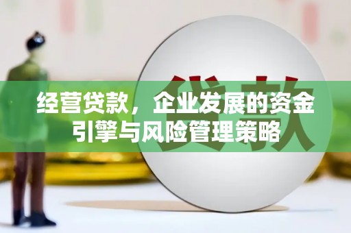 山阳经营贷款，企业发展的资金引擎与风险管理策略