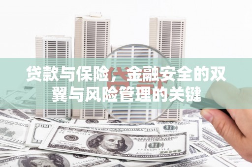 山阳贷款与保险，金融安全的双翼与风险管理的关键