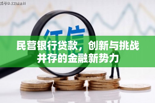 山阳民营银行贷款，创新与挑战并存的金融新势力