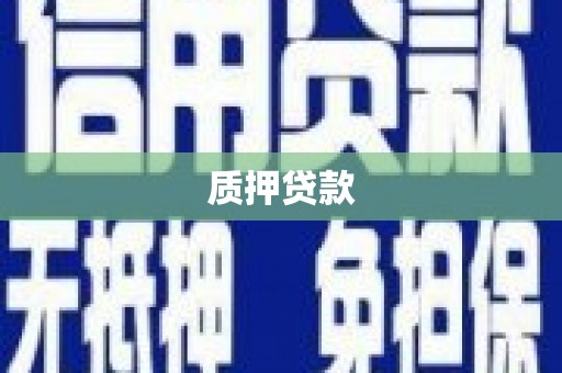山阳质押贷款