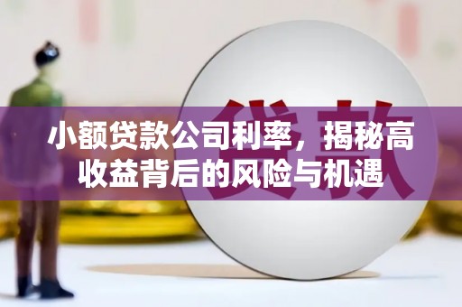 山阳小额贷款公司利率，揭秘高收益背后的风险与机遇