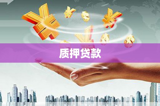 山阳质押贷款