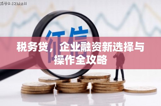 山阳税务贷，企业融资新选择与操作全攻略