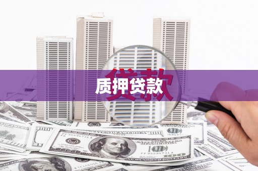 山阳质押贷款