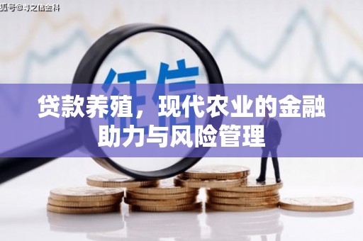 山阳贷款养殖，现代农业的金融助力与风险管理