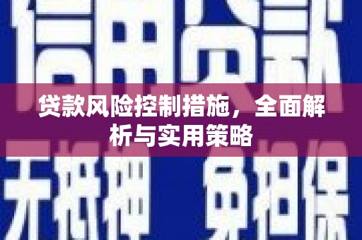 山阳贷款风险控制措施，全面解析与实用策略