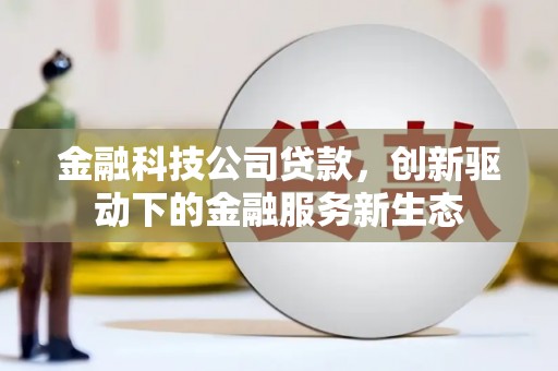 山阳金融科技公司贷款，创新驱动下的金融服务新生态
