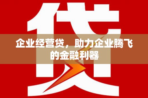 山阳企业经营贷，助力企业腾飞的金融利器