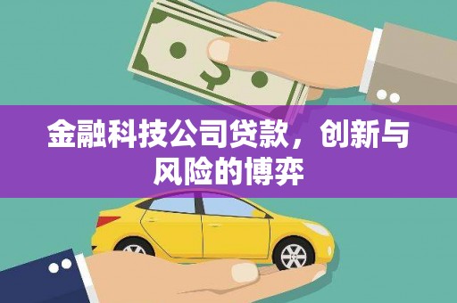 山阳金融科技公司贷款，创新与风险的博弈