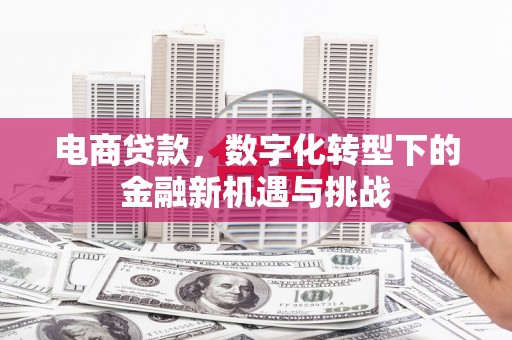 山阳电商贷款，数字化转型下的金融新机遇与挑战