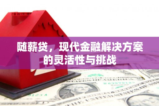 山阳随薪贷，现代金融解决方案的灵活性与挑战