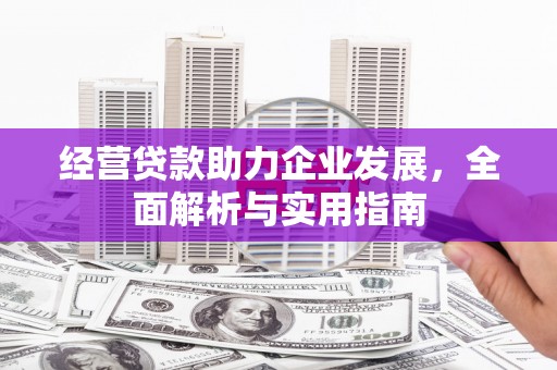 山阳经营贷款助力企业发展，全面解析与实用指南