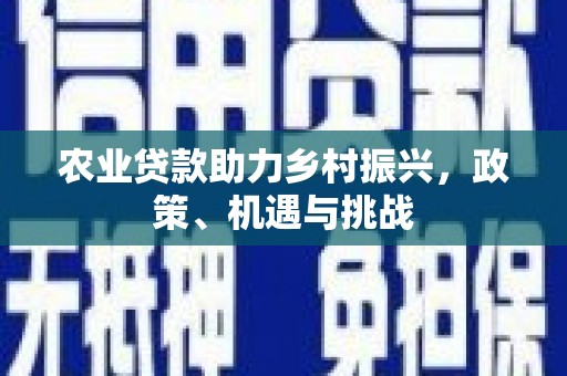 山阳农业贷款助力乡村振兴，政策、机遇与挑战