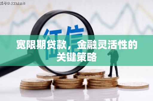 山阳宽限期贷款，金融灵活性的关键策略