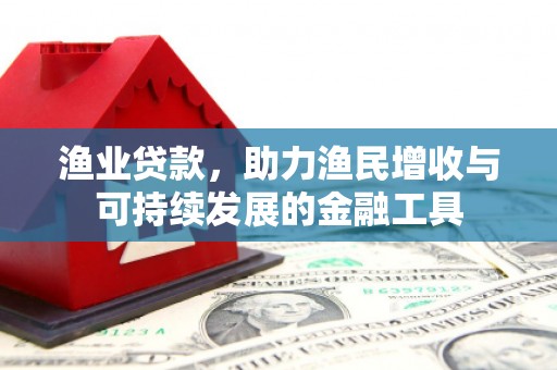 山阳渔业贷款，助力渔民增收与可持续发展的金融工具