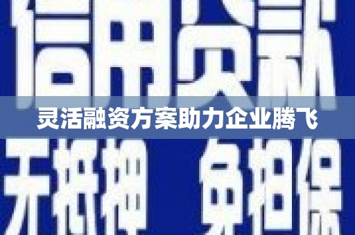 山阳灵活融资方案助力企业腾飞