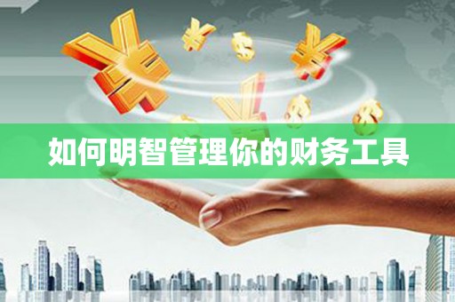 山阳如何明智管理你的财务工具