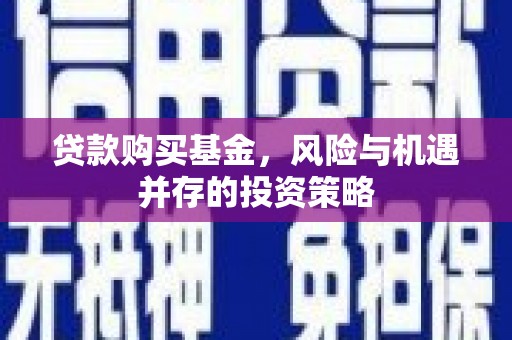 山阳贷款购买基金，风险与机遇并存的投资策略
