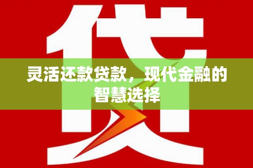 山阳灵活还款贷款，现代金融的智慧选择