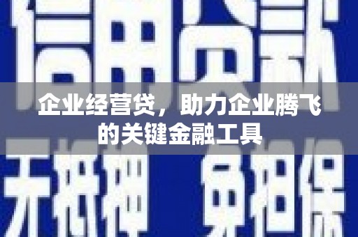 山阳企业经营贷，助力企业腾飞的关键金融工具