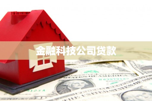 山阳金融科技公司贷款