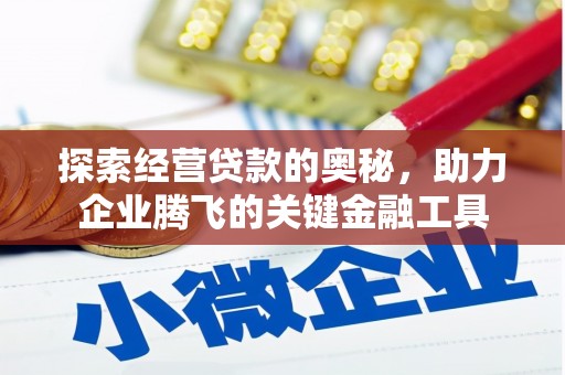 山阳探索经营贷款的奥秘，助力企业腾飞的关键金融工具
