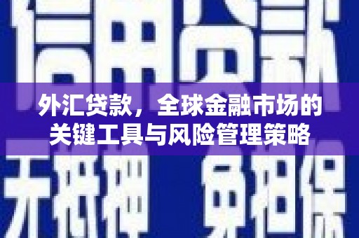 山阳外汇贷款，全球金融市场的关键工具与风险管理策略
