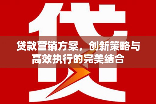 山阳贷款营销方案，创新策略与高效执行的完美结合