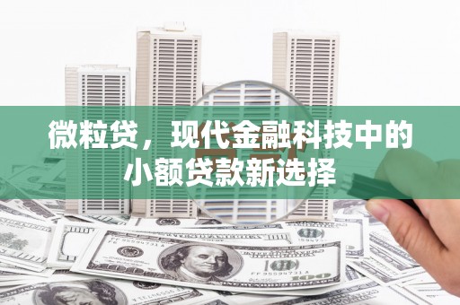 山阳微粒贷，现代金融科技中的小额贷款新选择