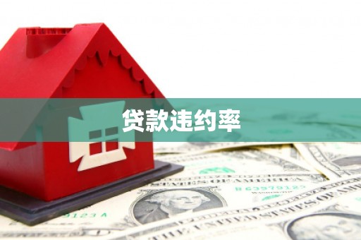 山阳贷款违约率