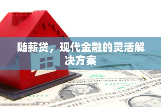山阳随薪贷，现代金融的灵活解决方案