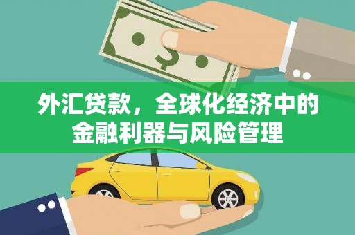 山阳外汇贷款，全球化经济中的金融利器与风险管理