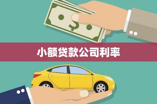 山阳小额贷款公司利率