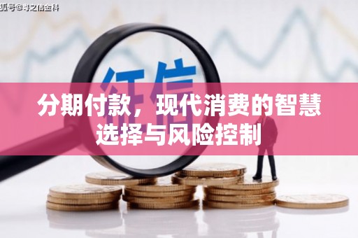 山阳分期付款，现代消费的智慧选择与风险控制