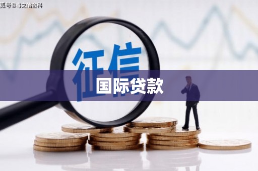 山阳国际贷款