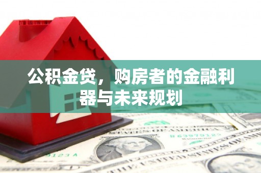 山阳公积金贷，购房者的金融利器与未来规划