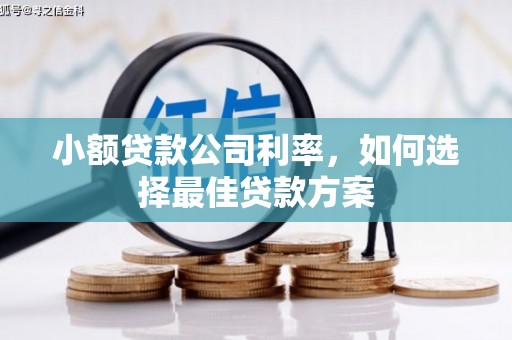 山阳小额贷款公司利率，如何选择最佳贷款方案