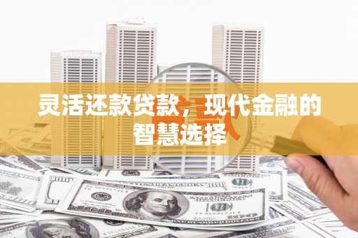 山阳灵活还款贷款，现代金融的智慧选择