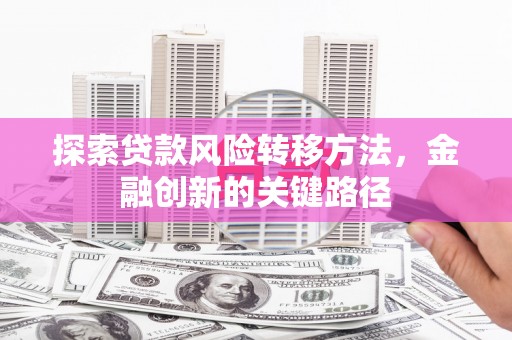 山阳探索贷款风险转移方法，金融创新的关键路径
