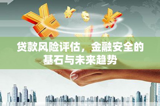 山阳贷款风险评估，金融安全的基石与未来趋势