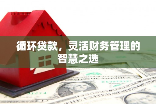 山阳循环贷款，灵活财务管理的智慧之选