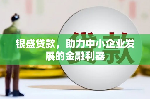 山阳银盛贷款，助力中小企业发展的金融利器