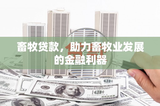 山阳畜牧贷款，助力畜牧业发展的金融利器