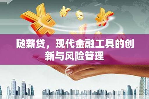 山阳随薪贷，现代金融工具的创新与风险管理