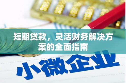 山阳短期贷款，灵活财务解决方案的全面指南
