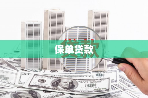 山阳保单贷款