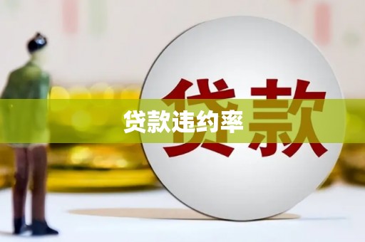 山阳贷款违约率