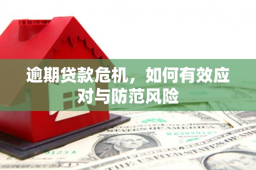山阳逾期贷款危机，如何有效应对与防范风险