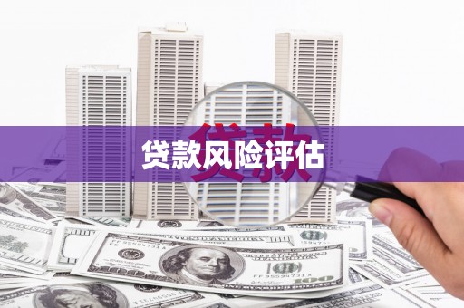山阳贷款风险评估